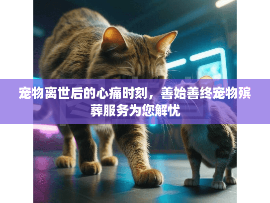 宠物离世后的心痛时刻，善始善终宠物殡葬服务为您解忧