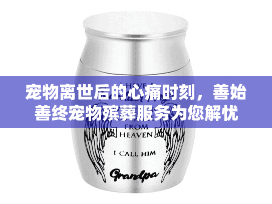 宠物离世后的心痛时刻，善始善终宠物殡葬服务为您解忧