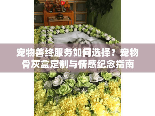 宠物善终服务如何选择？宠物骨灰盒定制与情感纪念指南