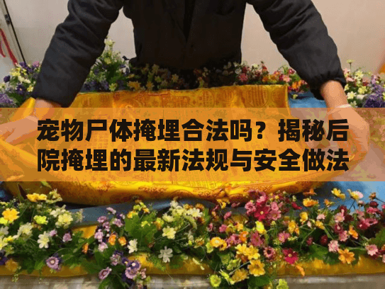 宠物尸体掩埋合法吗？揭秘后院掩埋的最新法规与安全做法