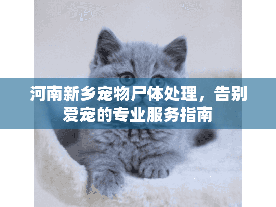 河南新乡宠物尸体处理，告别爱宠的专业服务指南