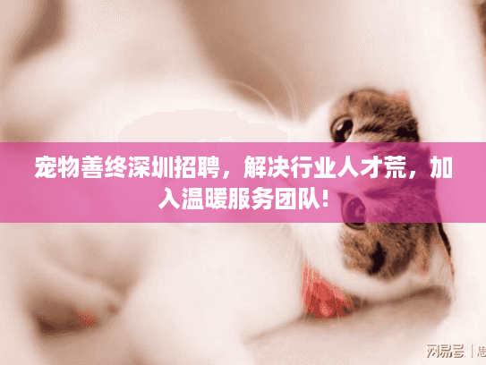 宠物善终深圳招聘，解决行业人才荒，加入温暖服务团队!
