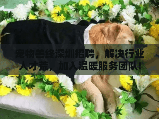 宠物善终深圳招聘，解决行业人才荒，加入温暖服务团队!
