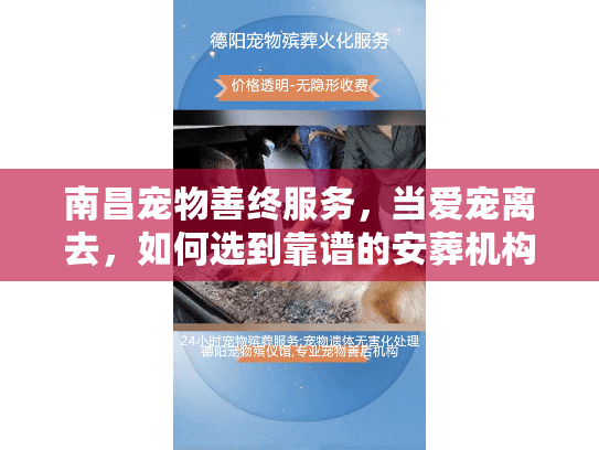 南昌宠物善终服务，当爱宠离去，如何选到靠谱的安葬机构？