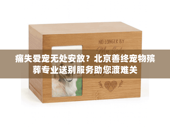 痛失爱宠无处安放？北京善终宠物殡葬专业送别服务助您渡难关