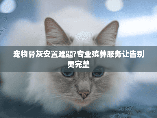宠物骨灰安置难题?专业殡葬服务让告别更完整