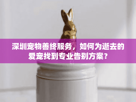 深圳宠物善终服务，如何为逝去的爱宠找到专业告别方案？