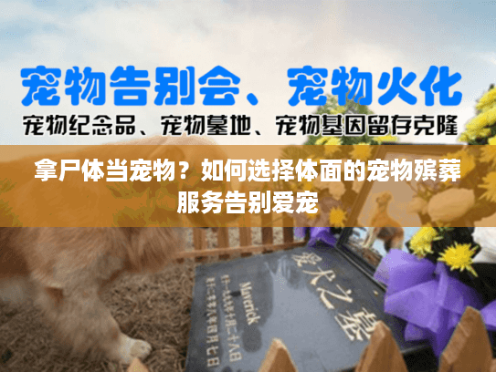 拿尸体当宠物？如何选择体面的宠物殡葬服务告别爱宠