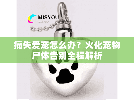 痛失爱宠怎么办？火化宠物尸体告别全程解析