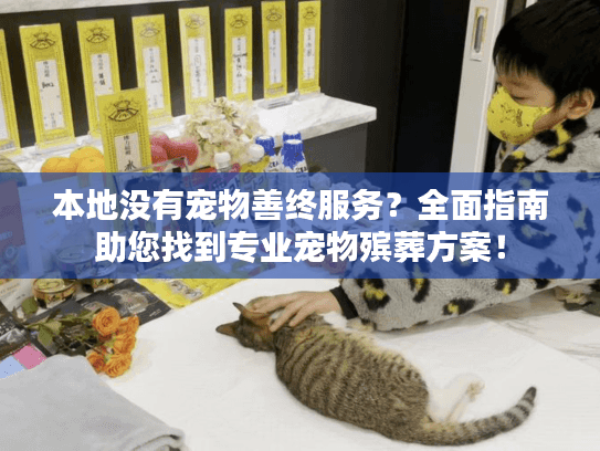 本地没有宠物善终服务？全面指南助您找到专业宠物殡葬方案！