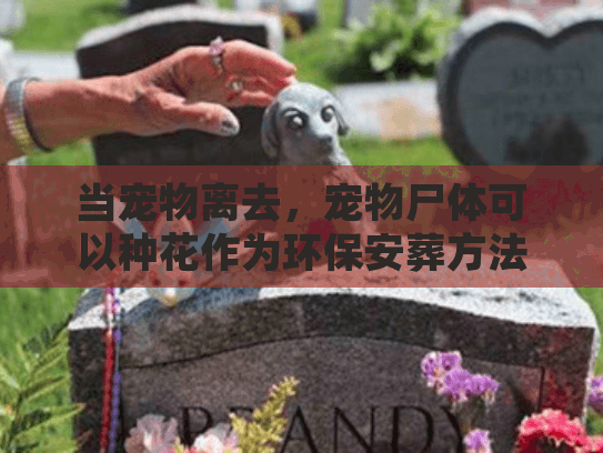 当宠物离去，宠物尸体可以种花作为环保安葬方法吗？