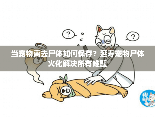 当宠物离去尸体如何保存？延寿宠物尸体火化解决所有难题