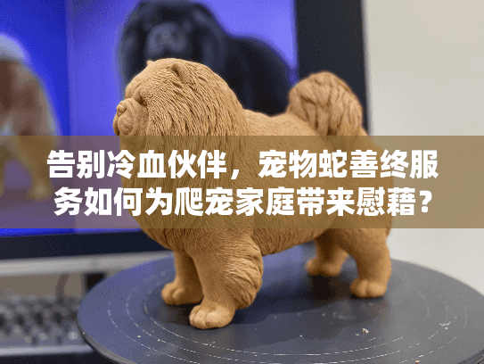 告别冷血伙伴，宠物蛇善终服务如何为爬宠家庭带来慰藉？