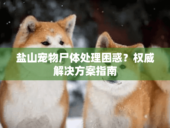 盐山宠物尸体处理困惑？权威解决方案指南