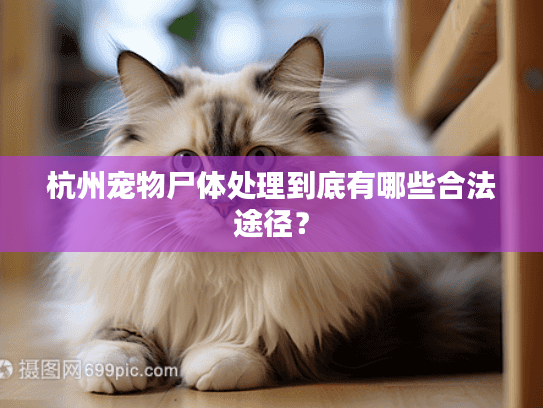 杭州宠物尸体处理到底有哪些合法途径？