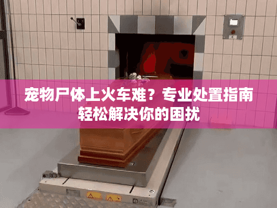 宠物尸体上火车难？专业处置指南轻松解决你的困扰