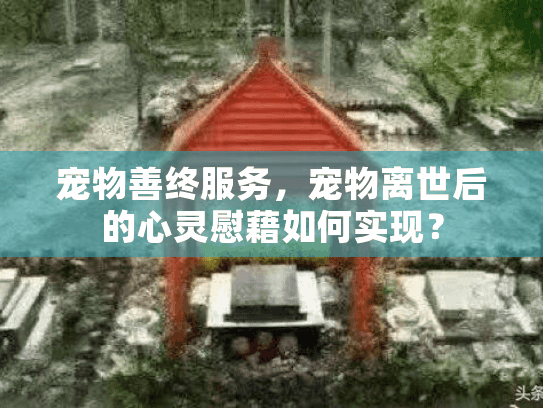 宠物善终服务，宠物离世后的心灵慰藉如何实现？