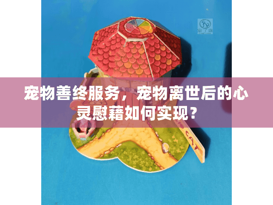宠物善终服务，宠物离世后的心灵慰藉如何实现？