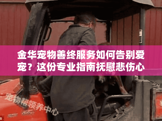 金华宠物善终服务如何告别爱宠？这份专业指南抚慰悲伤心灵