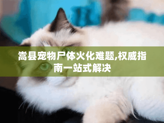 嵩县宠物尸体火化难题,权威指南一站式解决