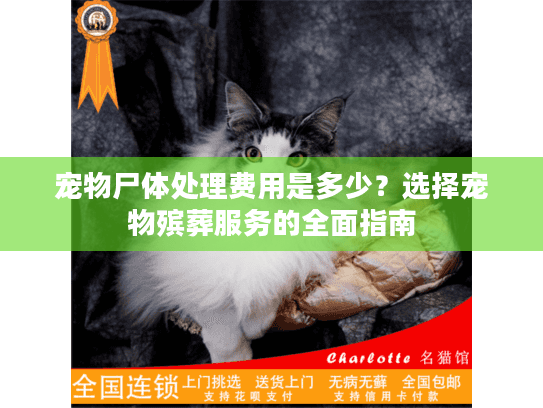 宠物尸体处理费用是多少？选择宠物殡葬服务的全面指南