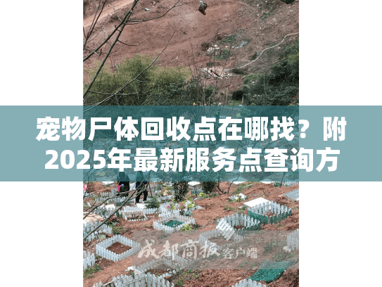 宠物尸体回收点在哪找？附2025年最新服务点查询方法