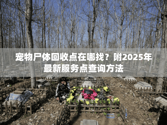 宠物尸体回收点在哪找？附2025年最新服务点查询方法
