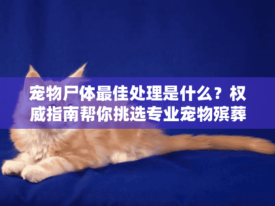 宠物尸体最佳处理是什么？权威指南帮你挑选专业宠物殡葬服务