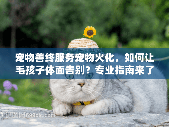 宠物善终服务宠物火化，如何让毛孩子体面告别？专业指南来了