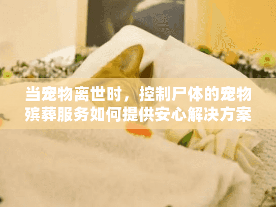 当宠物离世时，控制尸体的宠物殡葬服务如何提供安心解决方案？