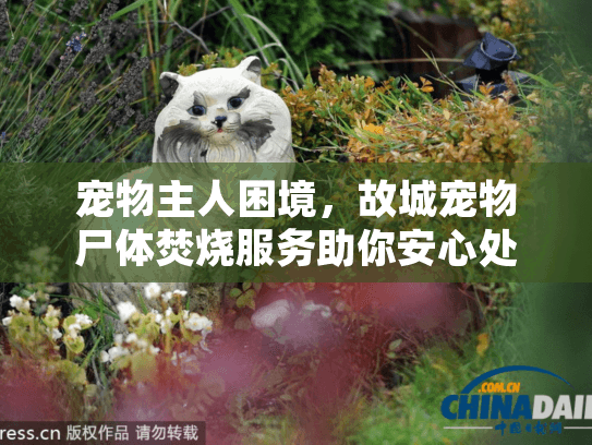 宠物主人困境，故城宠物尸体焚烧服务助你安心处理