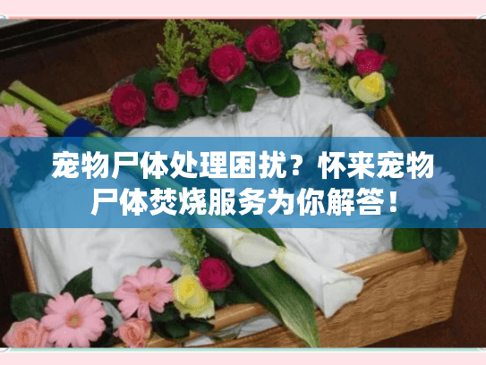 宠物尸体处理困扰？怀来宠物尸体焚烧服务为你解答！