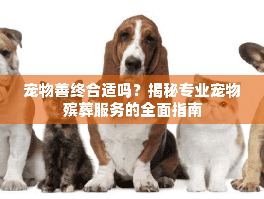 宠物善终合适吗？揭秘专业宠物殡葬服务的全面指南