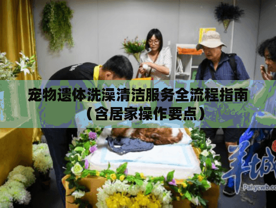 宠物遗体洗澡清洁服务全流程指南（含居家操作要点）