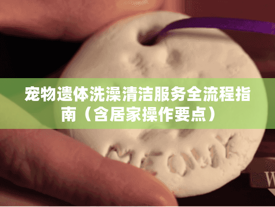 宠物遗体洗澡清洁服务全流程指南（含居家操作要点）