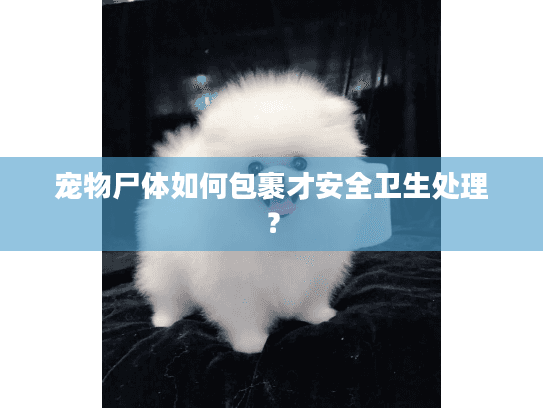 宠物尸体如何包裹才安全卫生处理？