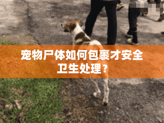 宠物尸体如何包裹才安全卫生处理？