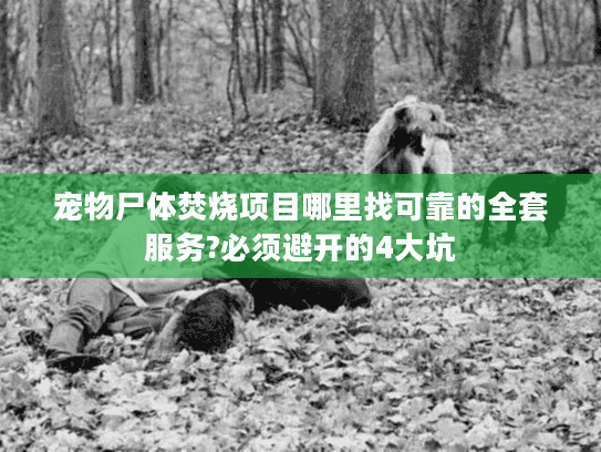 宠物尸体焚烧项目哪里找可靠的全套服务?必须避开的4大坑