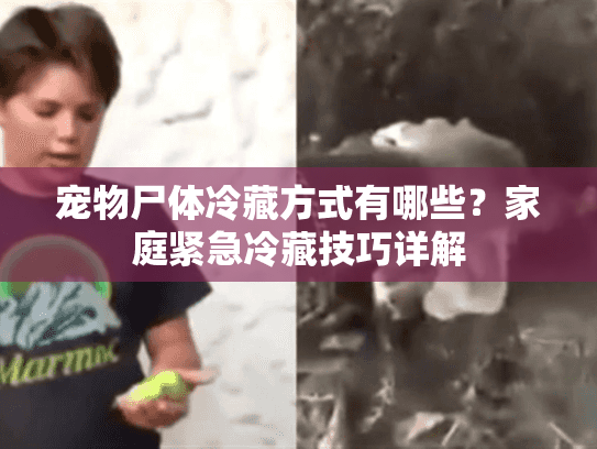 宠物尸体冷藏方式有哪些？家庭紧急冷藏技巧详解