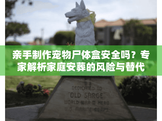 亲手制作宠物尸体盒安全吗？专家解析家庭安葬的风险与替代方案