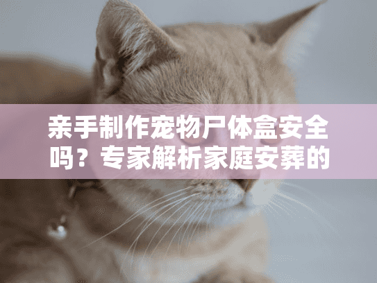 亲手制作宠物尸体盒安全吗？专家解析家庭安葬的风险与替代方案