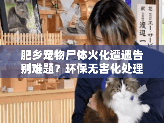 肥乡宠物尸体火化遭遇告别难题？环保无害化处理全攻略