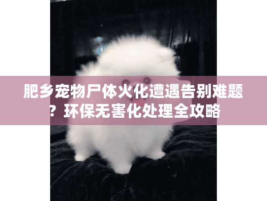 肥乡宠物尸体火化遭遇告别难题？环保无害化处理全攻略