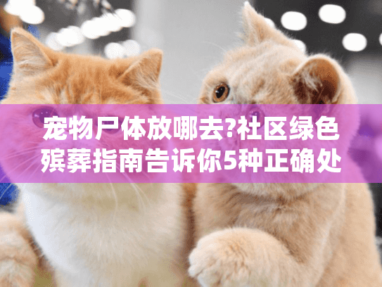 宠物尸体放哪去?社区绿色殡葬指南告诉你5种正确处理方式