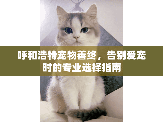 呼和浩特宠物善终，告别爱宠时的专业选择指南
