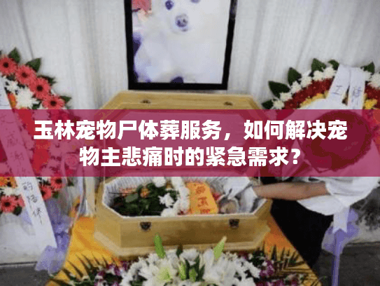 玉林宠物尸体葬服务，如何解决宠物主悲痛时的紧急需求？