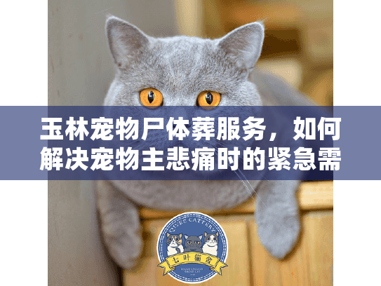 玉林宠物尸体葬服务，如何解决宠物主悲痛时的紧急需求？