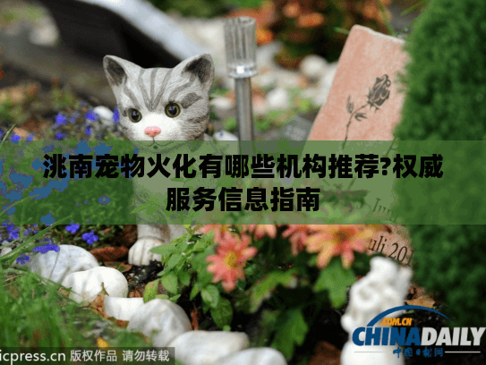 洮南宠物火化有哪些机构推荐?权威服务信息指南