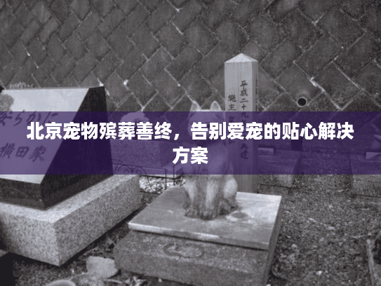 北京宠物殡葬善终，告别爱宠的贴心解决方案