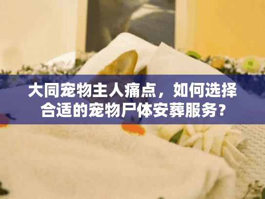 大同宠物主人痛点，如何选择合适的宠物尸体安葬服务？